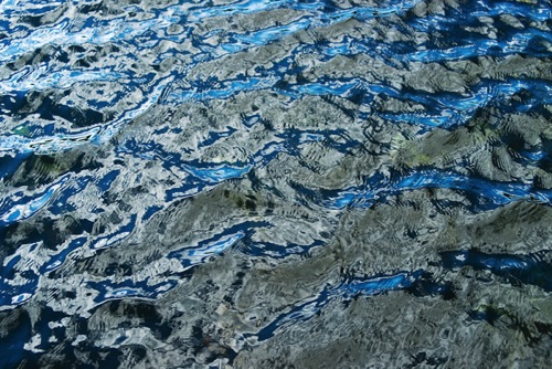 Water Detail, Upland Pond, Sussex County, NJ 09 10 (4033SA).jpg